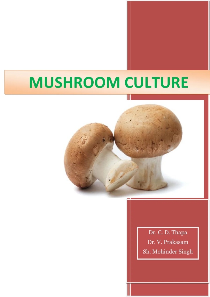Mushroom Culture