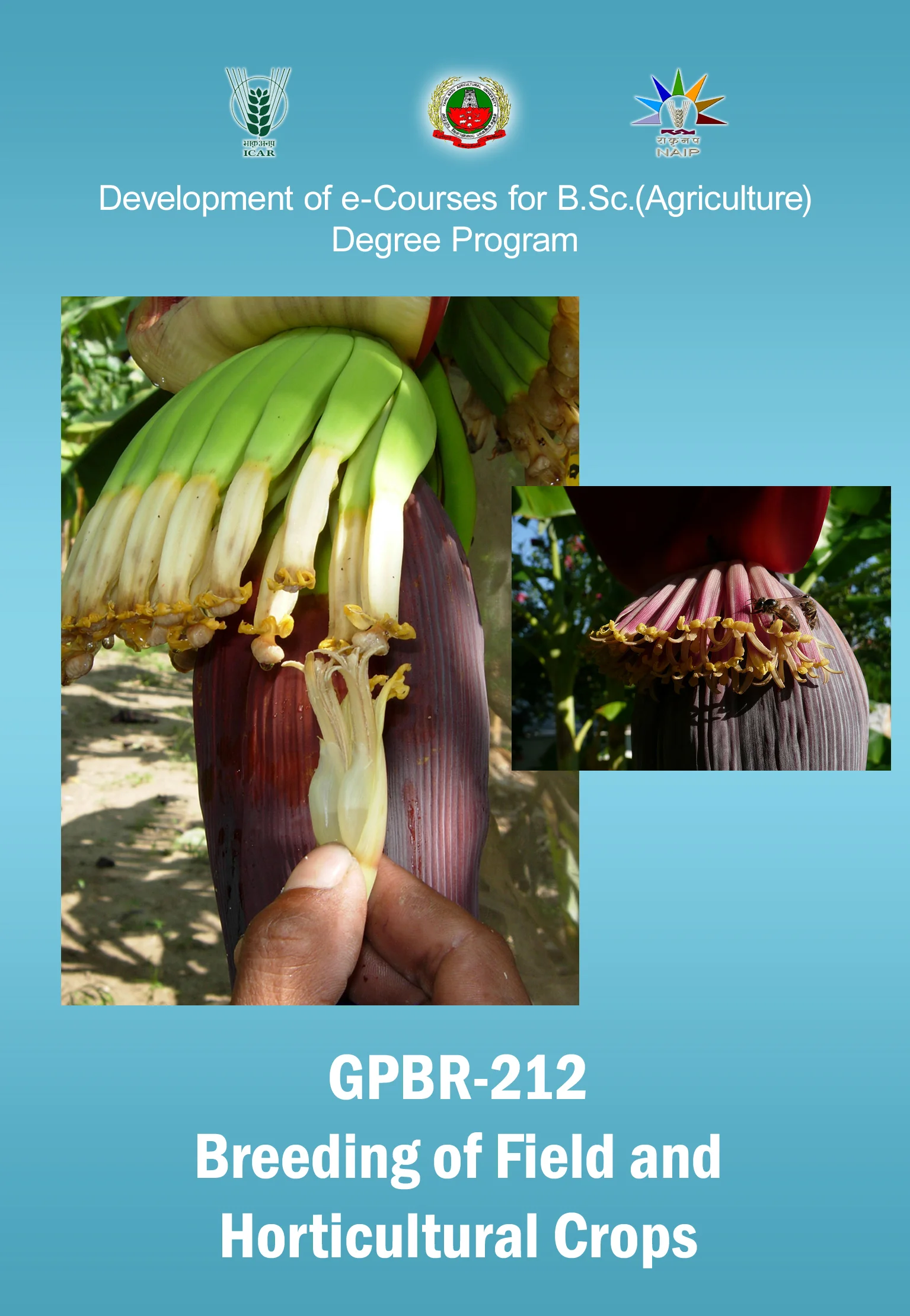 Breeding of Field and Horticultural Crops