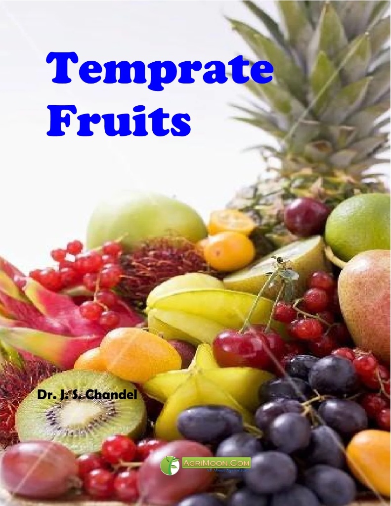 Temperate Fruits
