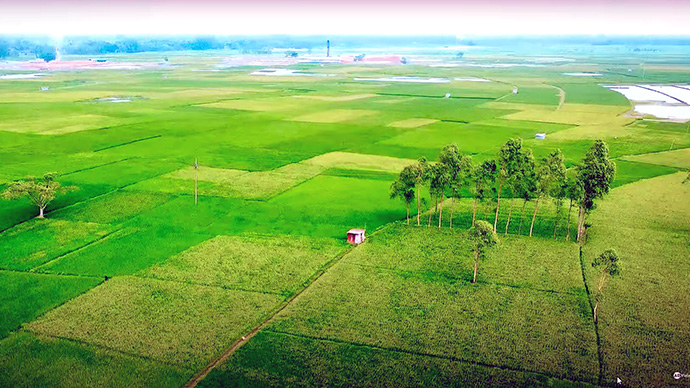 'Nalier Dola' designated site for permanent campus of Kurigram Agricultural University